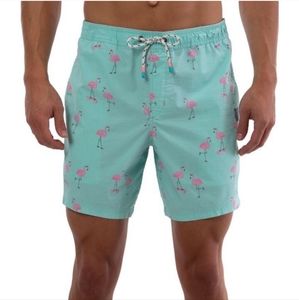 Party Pants Cruiser Flamingo Shorts
